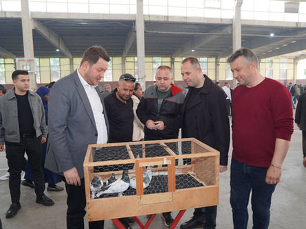 Kanatlı Hayvanlar Festivali düzenlendi
