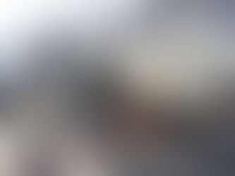 Sahipsiz köpek dehşeti!