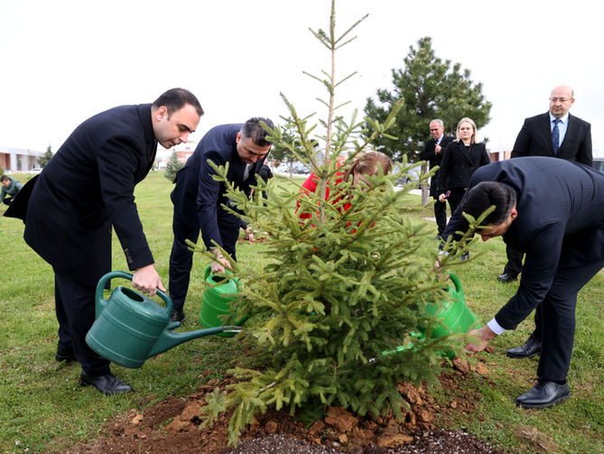 Yükümlüler fidan dikti