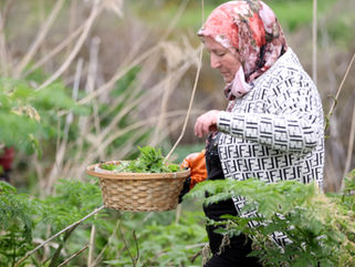 Pomakların "Kupriva" geleneği!