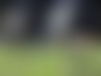 Kovboylar FC şampiyon!