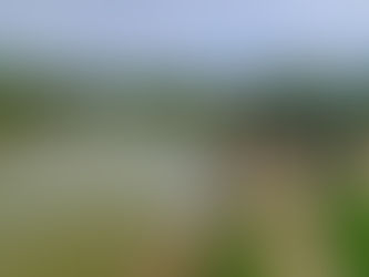 Tabiat Parkı’nı incelediler