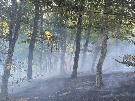 Dereköy’de korkutan orman yangını!