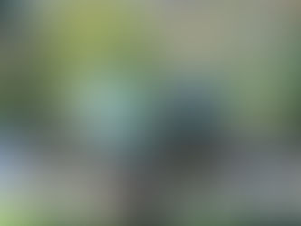 83 yıl yaşıyoruz!