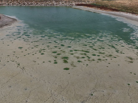 Bir gölet daha kuruma noktasında!