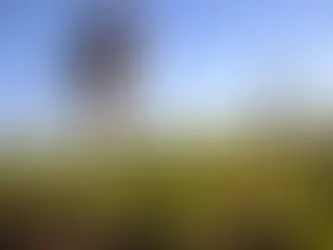 Bitkisel üretim desteklerinde yeni karar