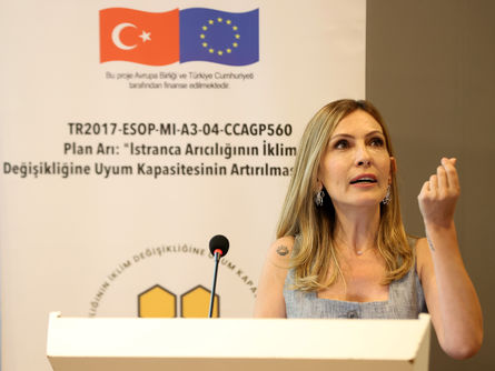 “İklim değişikliği arı ölümlerini artırıyor”