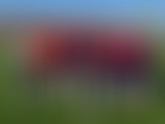 Düğüncübaşıspor’dan gol şov: 9-1