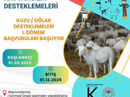 Kuzu ve Oğlak Desteklemeleri Başvuruları Başlıyor