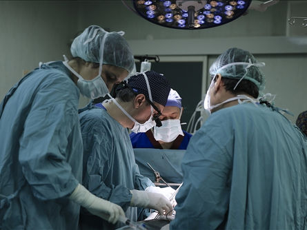 2002'den bu yana 74 bin 704 organ nakli gerçekleştirildi