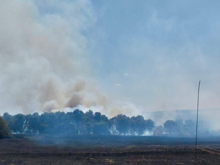 Ağaçlık alana sıçrayan yangın söndürüldü
