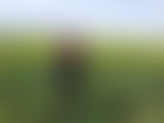 Kanola ve hububatların gelişimi incelendi