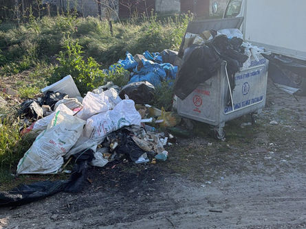 Mahallede temizlik krizi!