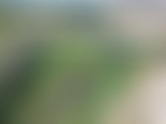 Kuraklık kuşlara yaradı