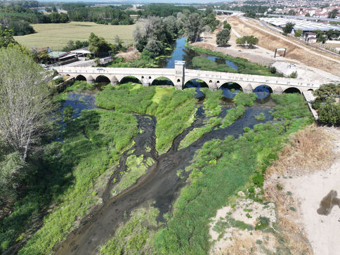 Kuraklık kuşlara yaradı