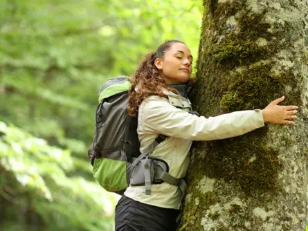 "Orman banyosu" turizmi!