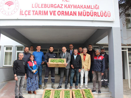 Üreticilere 30 bin sebze fidesi dağıtıldı