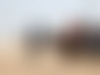 Büyükmandıra’da at yarışları düzenlendi