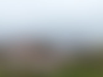 Sezonda 13 bin 500 ton hamsi avlandı