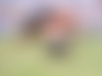 Kırkpınar'da altın kemerin pusulası Antalya'yı gösteriyor