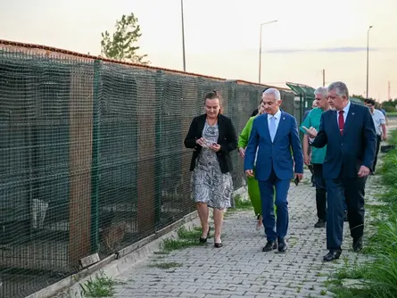 Barınakta inceleme!