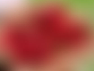 Kiraz Festivali tarihi belli oldu