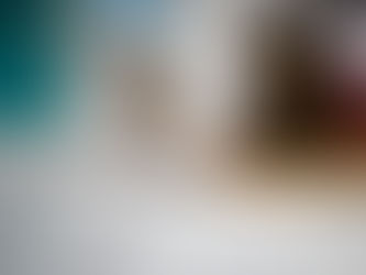 LGS tercihleri başladı