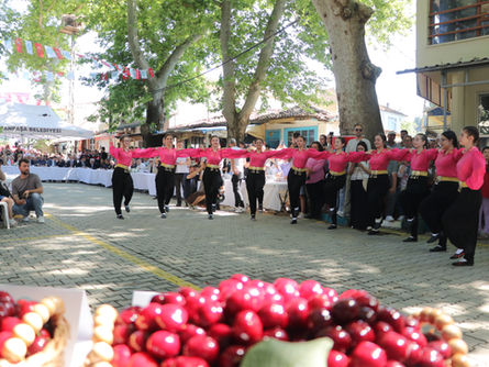 “Kiraz Festivali" başladı