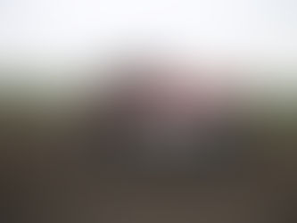 Ayçiçeği üreticilerine "erken ekim" önerisi