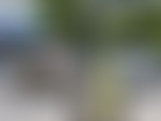 Elektrikli skuter sistemine yeni düzen!