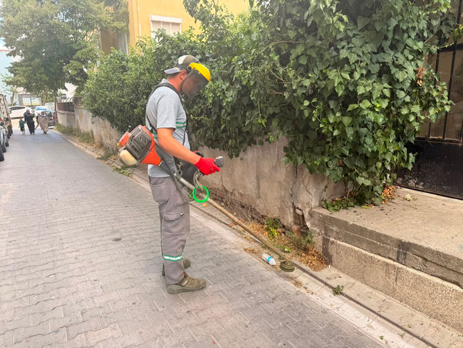 Lüleburgaz’da ot ve çim mesaisi