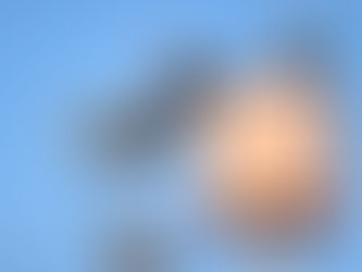 Bu kez yuvayı TREDAŞ ekipleri yaptı