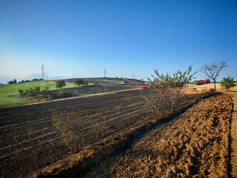 Tekirdağ'da 200 dekar buğday ekili alan yandı