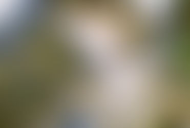 Yeni Kent Meydanı tanıtıldı