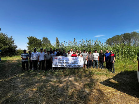 Yerli tohum girişimleri sürüyor
