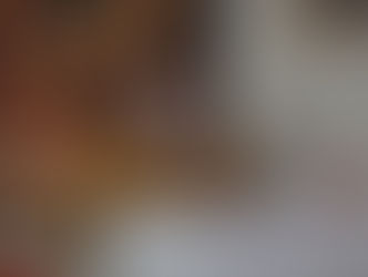 Yakma tesisine tepki!