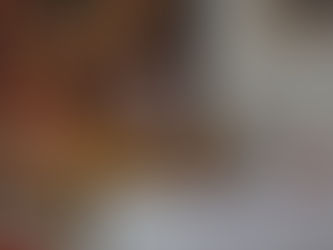 Yakma tesisine tepki!