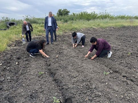 66 bin 640 karpuz fidesi toprakla buluştu