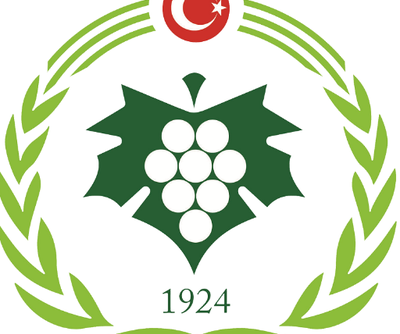 İl Özel İdaresi’ne Hizmet Binası yapılacak