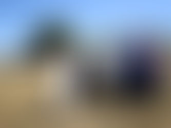 Kadınlar bal için kolları sıvadı