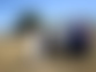 Kadınlar bal için kolları sıvadı