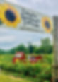 256BCC2D-33CC-4101-B382-41F064A09035.jpeg