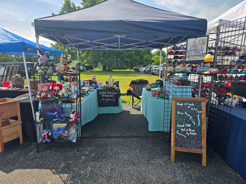 Picture of setup at festivals
