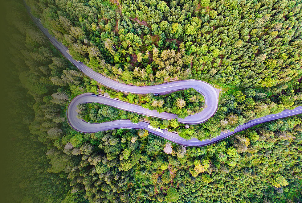 Z STUDIO_Redesign webu_uvodni_strana_(012026)_banner_co_s papirem.jpg