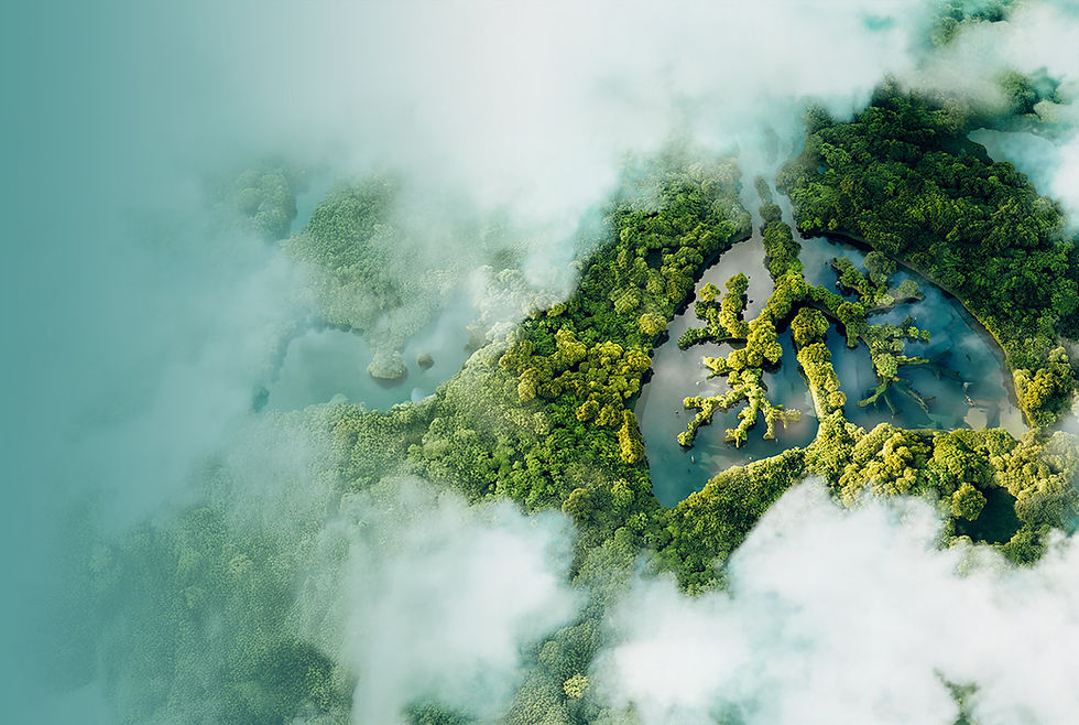 Z STUDIO_Redesign webu_uvodni_strana_(012026)_banner_nova_pravidla.jpg