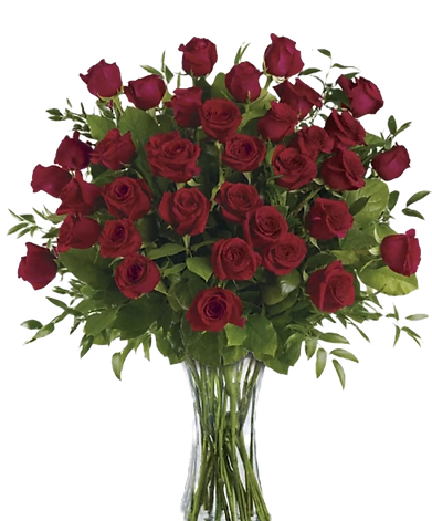 4 Dozen Red Roses