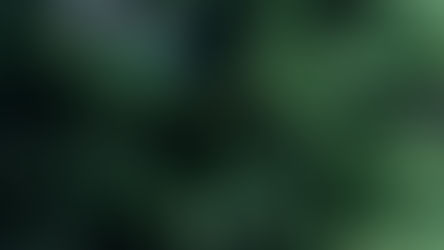 An Open Letter to a Struggling Christian