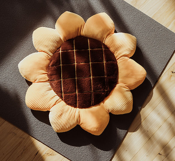 Vlinder & Slak Kind training in de Heartfulness Academie