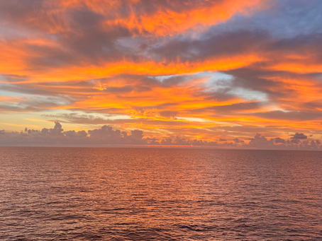 Learning from the Ocean: What Diving Has Taught Me About Awareness