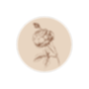 The Revel Rose (4).png